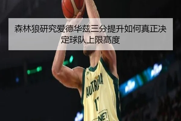 森林狼研究爱德华兹三分提升如何真正决定球队上限高度
