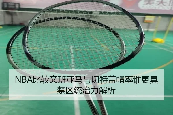 NBA比较文班亚马与切特盖帽率谁更具禁区统治力解析